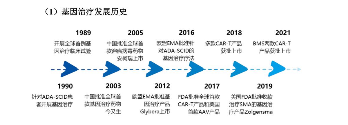 细胞疗法和基因疗法的区别,细胞和基因治疗最新方向