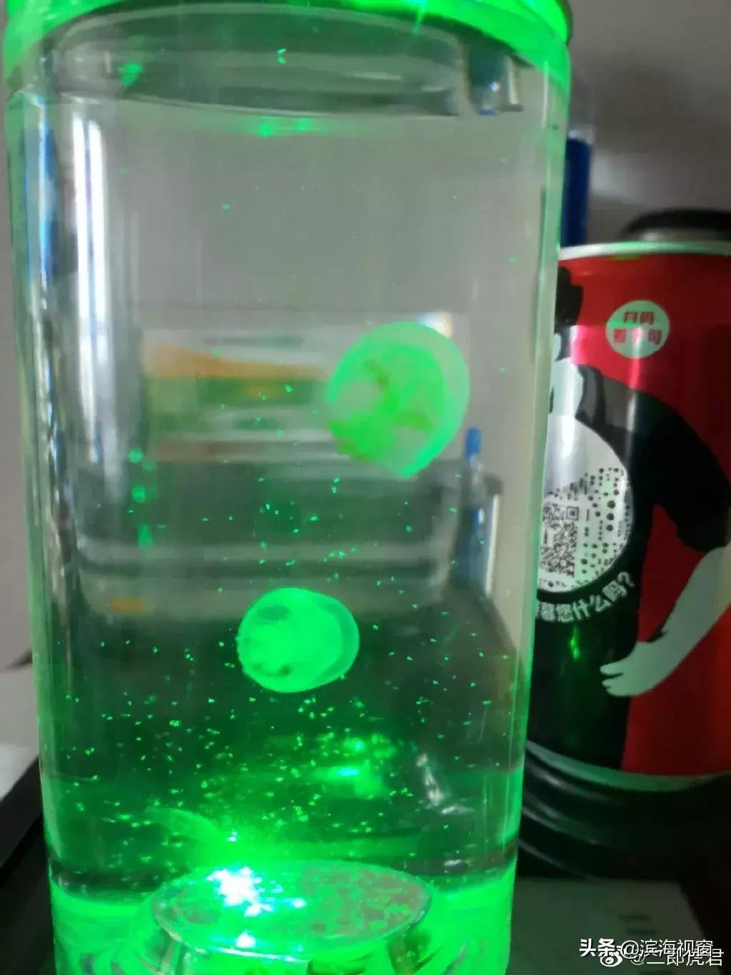 花了大价钱!去极地海洋馆玩买了这个……居然上不了9号线