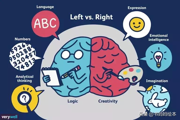 哈佛医学博士需要读几年,哈佛教授谈大脑发育