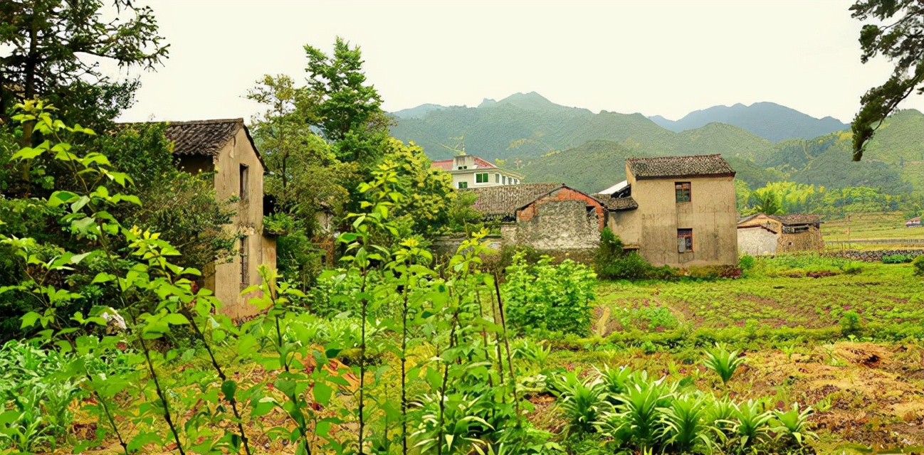 世界上最惊艳的咖啡,被称为小欧洲