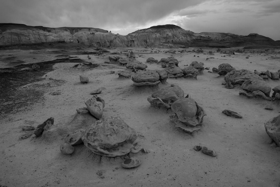 2019年最佳入门级单反排名，第一名国内暂时没有