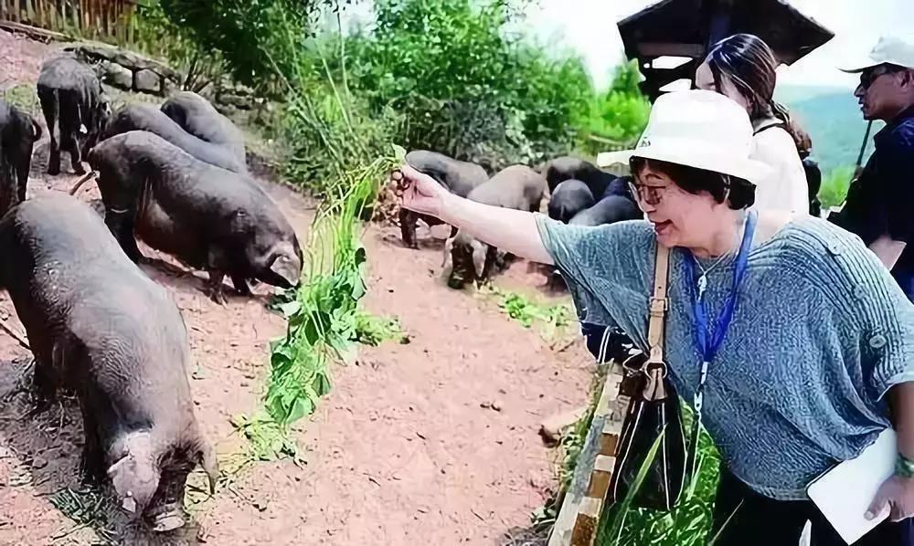 农产品营销10大策略,农产品社区社群营销案例