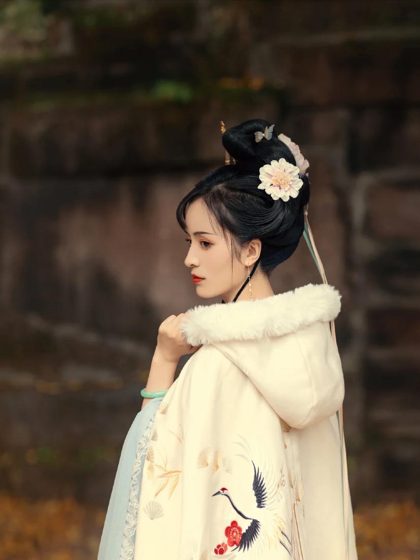 渣王说让母亲把婢女红鸾送给他做侧妃，红鸾宁死不屈