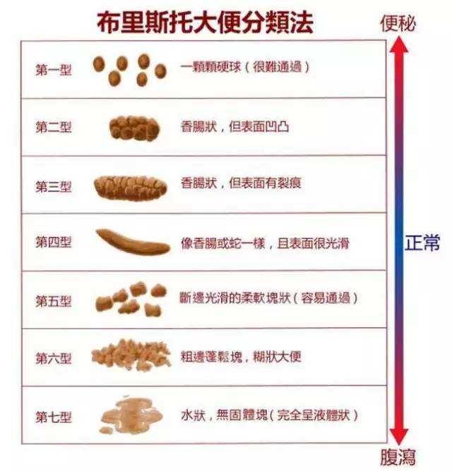 十人九痔疮有什么说法,十人九痔疮是什么意思