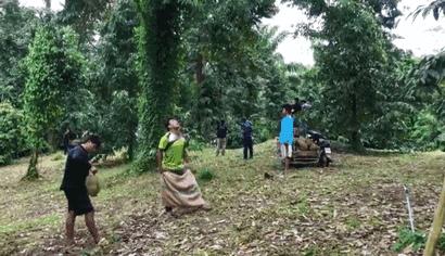 赌王派私人飞机买,蔡少芬怀孕也痴迷,凭啥它让*欲人**罢不能?