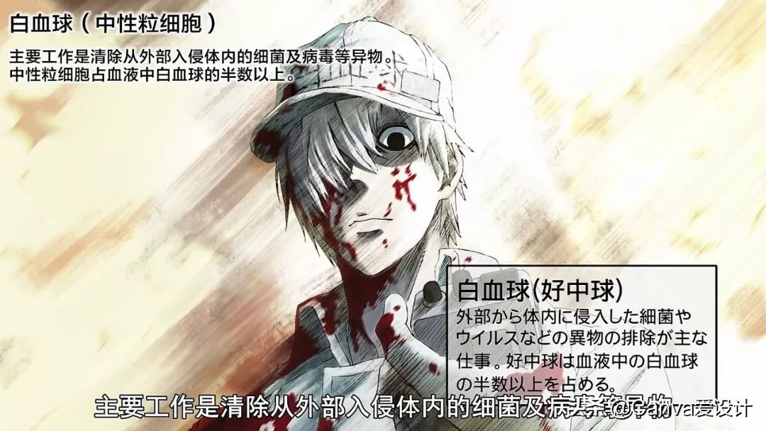 最新野生文案大全,看野生动物发的文案