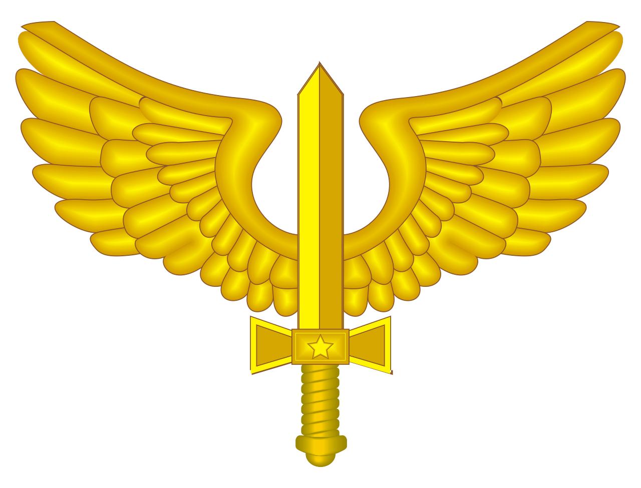 巴西军衔图片,各国军衔标识俄罗斯