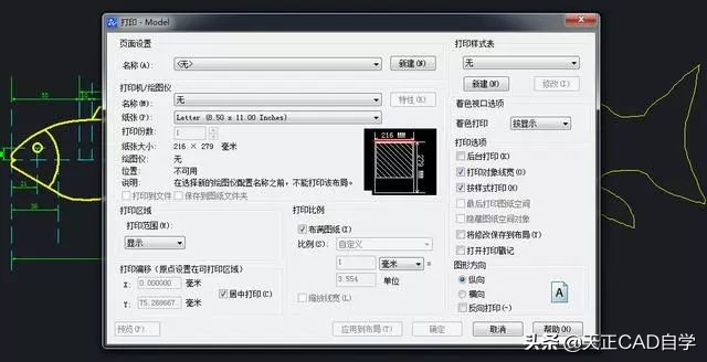 cad怎么打印出正确比例,cad打印选择monochrome还是彩色