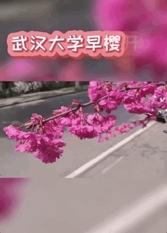 最新战疫感悟,战疫的50个瞬间