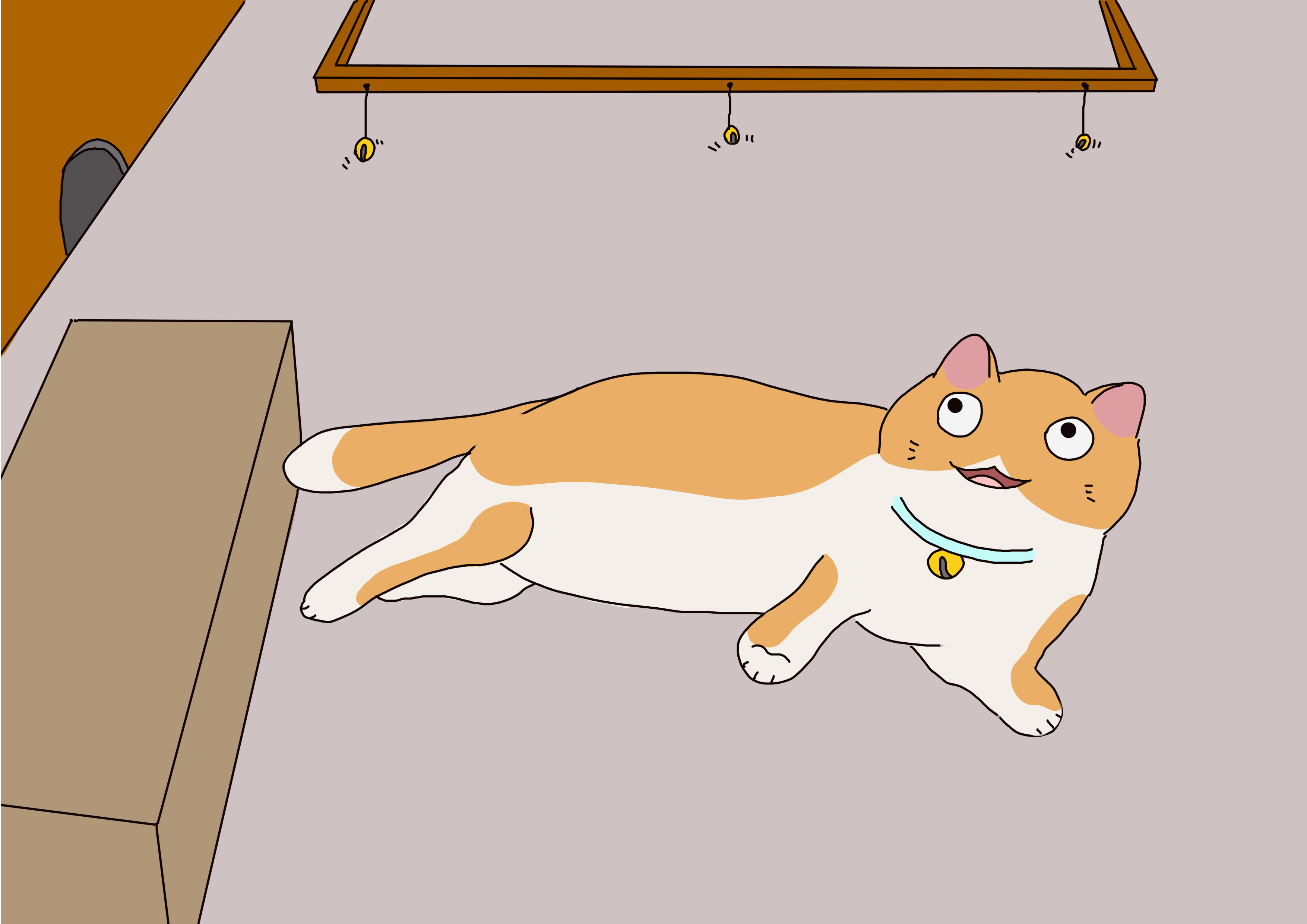 猫长时间单独在家，3种方式缓解猫的压力，铲屎官要转移猫注意力