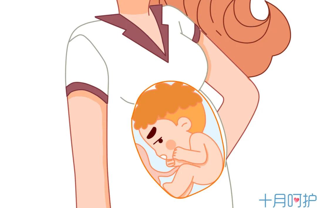 想知道宝宝长相,想知道胎宝宝的样子