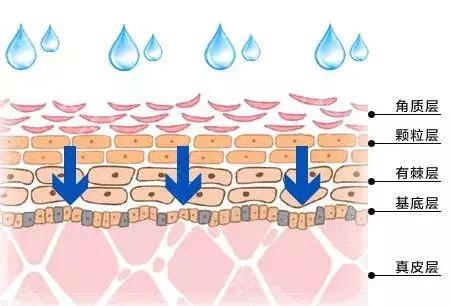 vc白天涂还是晚上涂,vc白天吃还是晚上吃比较好