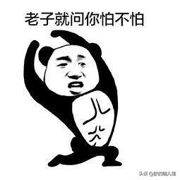 舒化牛奶猫可以喝吗,人喝的牛奶猫能喝吗