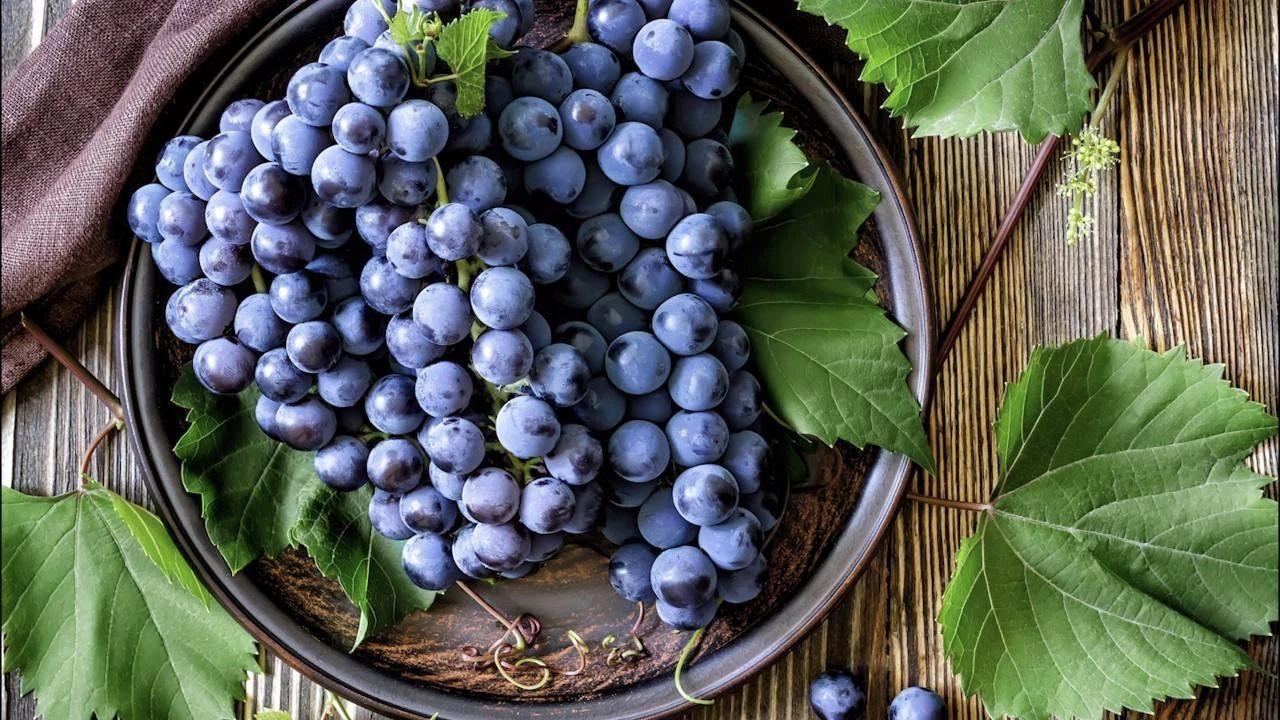 我猜你的双十一清单肯定有它，建议深思熟虑再购买