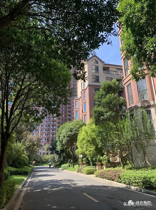 鉴盘⑥丨均价高过周边楼盘超500元/㎡的项目，值吗？