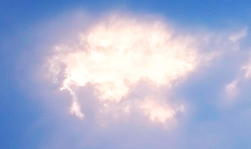 怎样防止剁手和花钱,剁手避坑