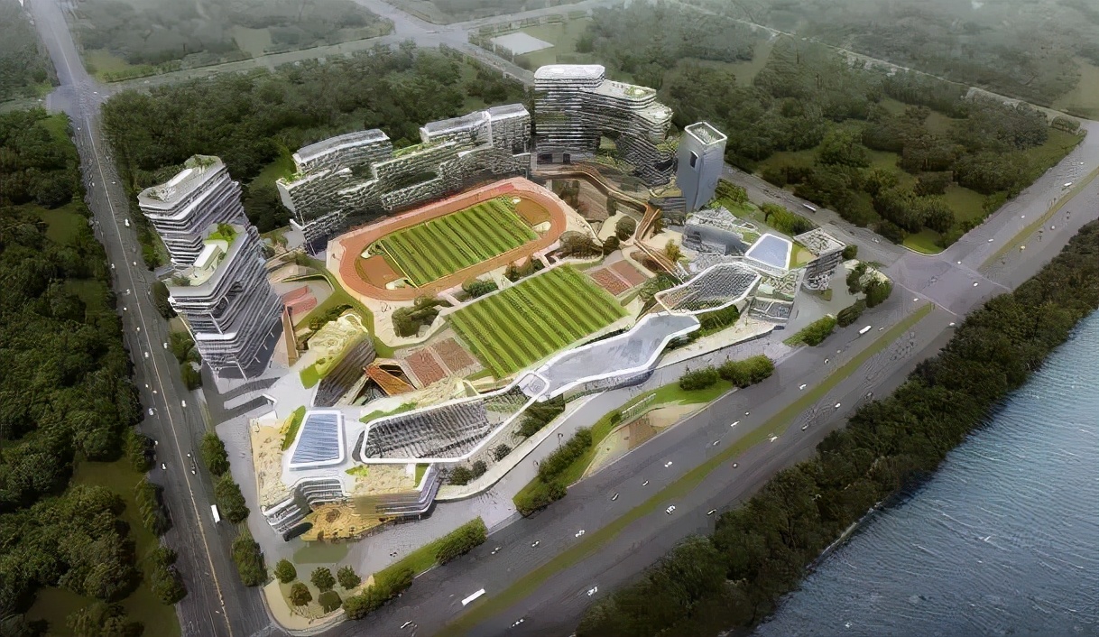 武汉沌口经济开发区贵族学校,武汉沌口新学校