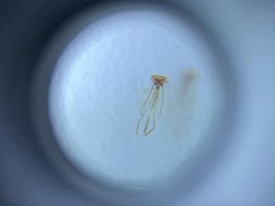 提高宝宝运动能力的玩具推荐,适合儿童的启蒙玩具