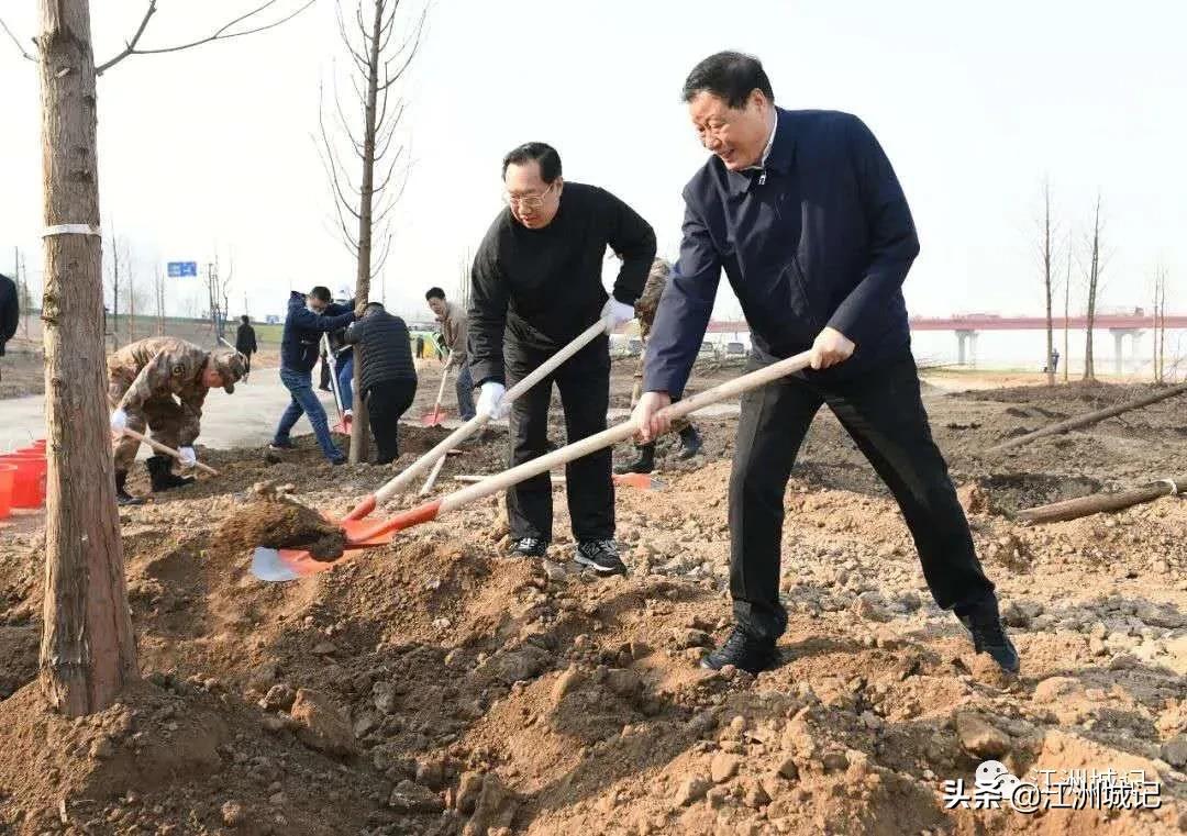 芳草萋萋汉水边,杨泗港大桥江滩公园网红打卡地