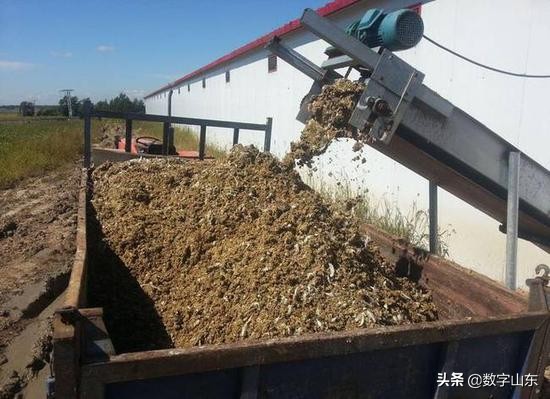 山东青岛莱西市九联肉鸡厂位置,青岛莱西市九联鸡厂流水线视频