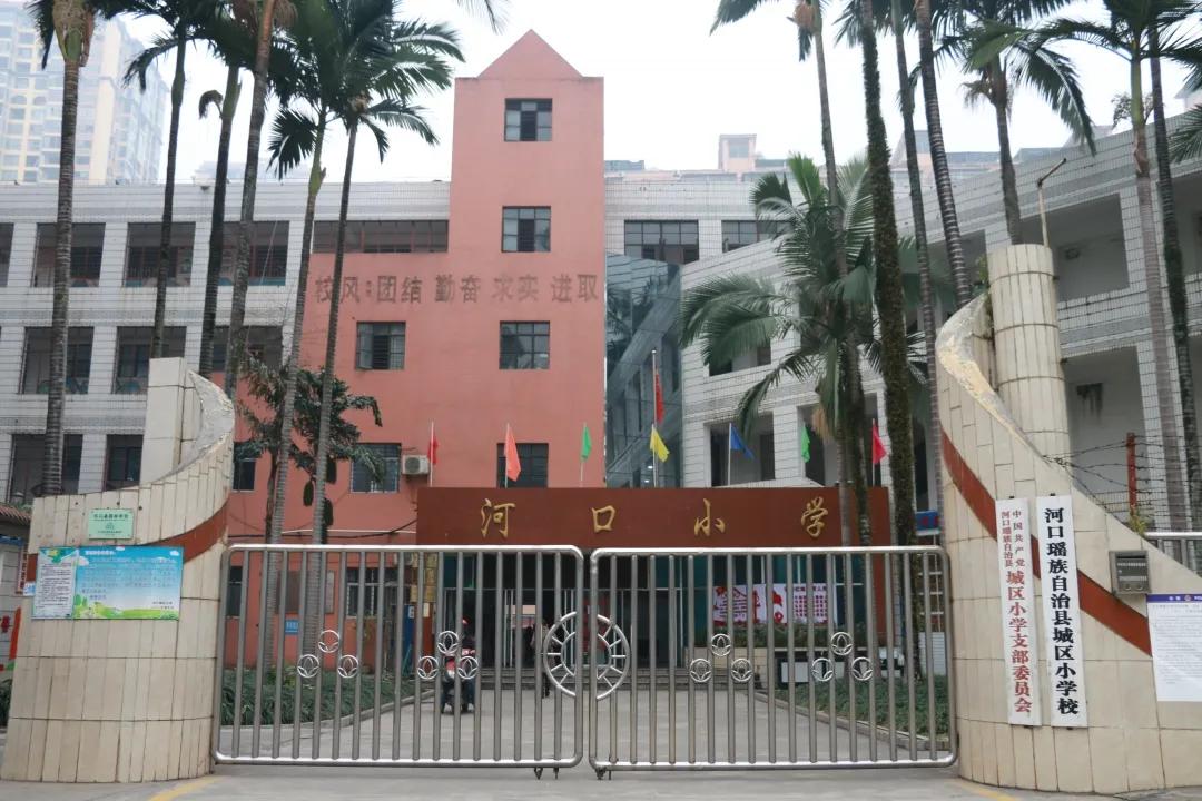 小学爱卫活动,小学开展爱国卫生月活动方案