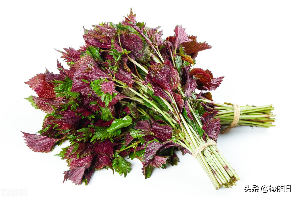 老鸭汤怎么炖才又嫩又烂,炖老鸭汤放什么调料好