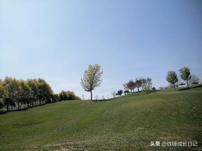 北京市延庆野生动物园,北京野生动物园攻略一日游路线图