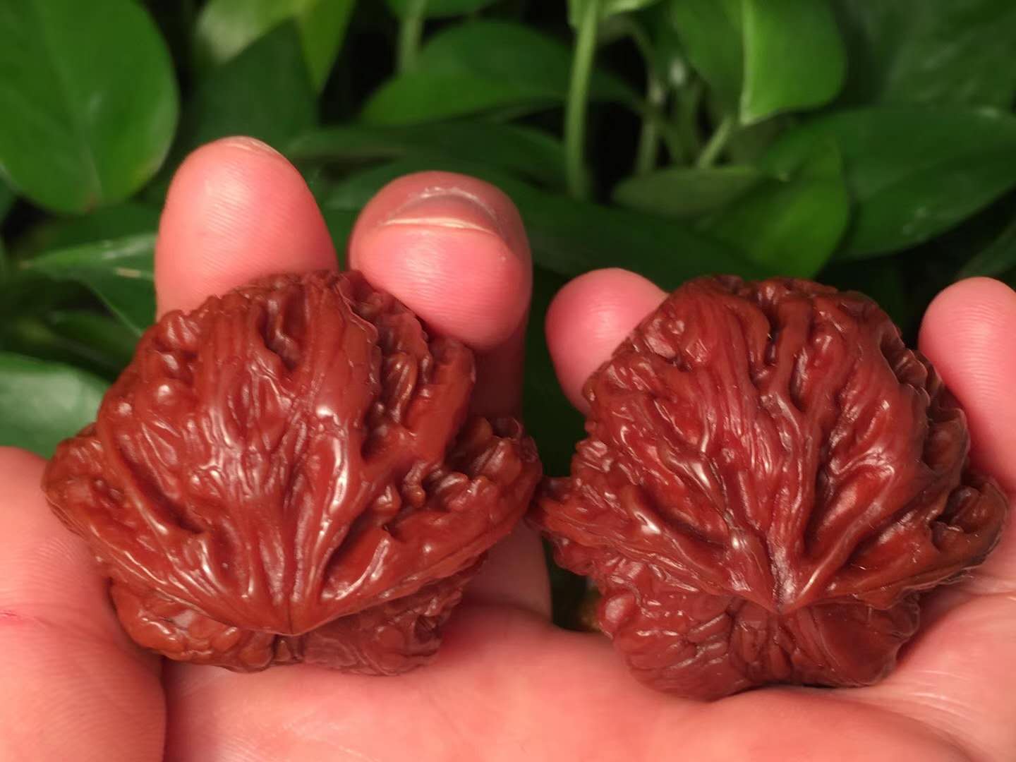 文玩核桃正确盘玩和保养方法,核桃花皮能盘出来吗