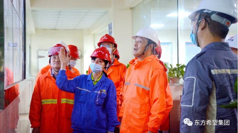 刘永行东方希望股票,东方希望集团董事长刘永行简历