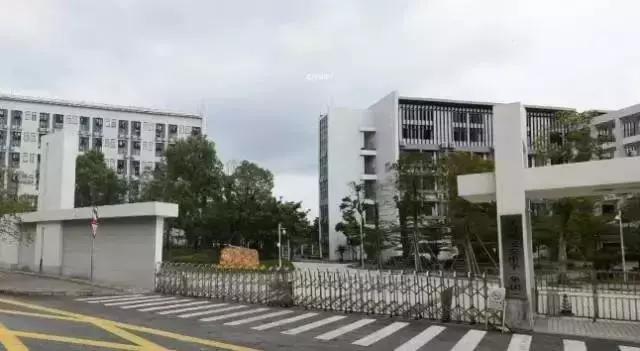 深圳哪所学校高中最好,深圳四大名校哪所最好