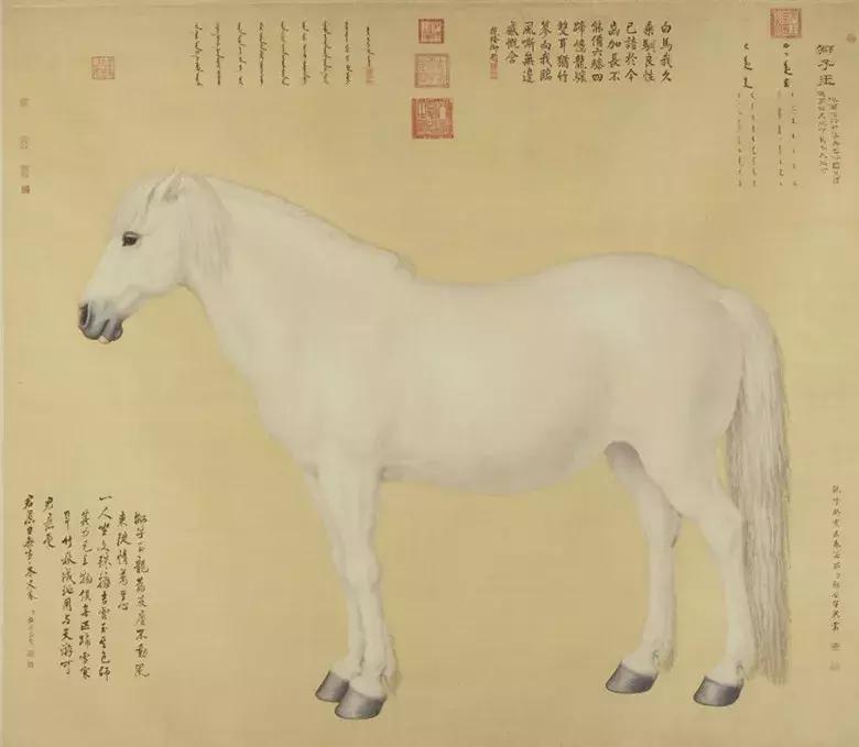 天马西来：游走在神话与真实之间的汗血宝马