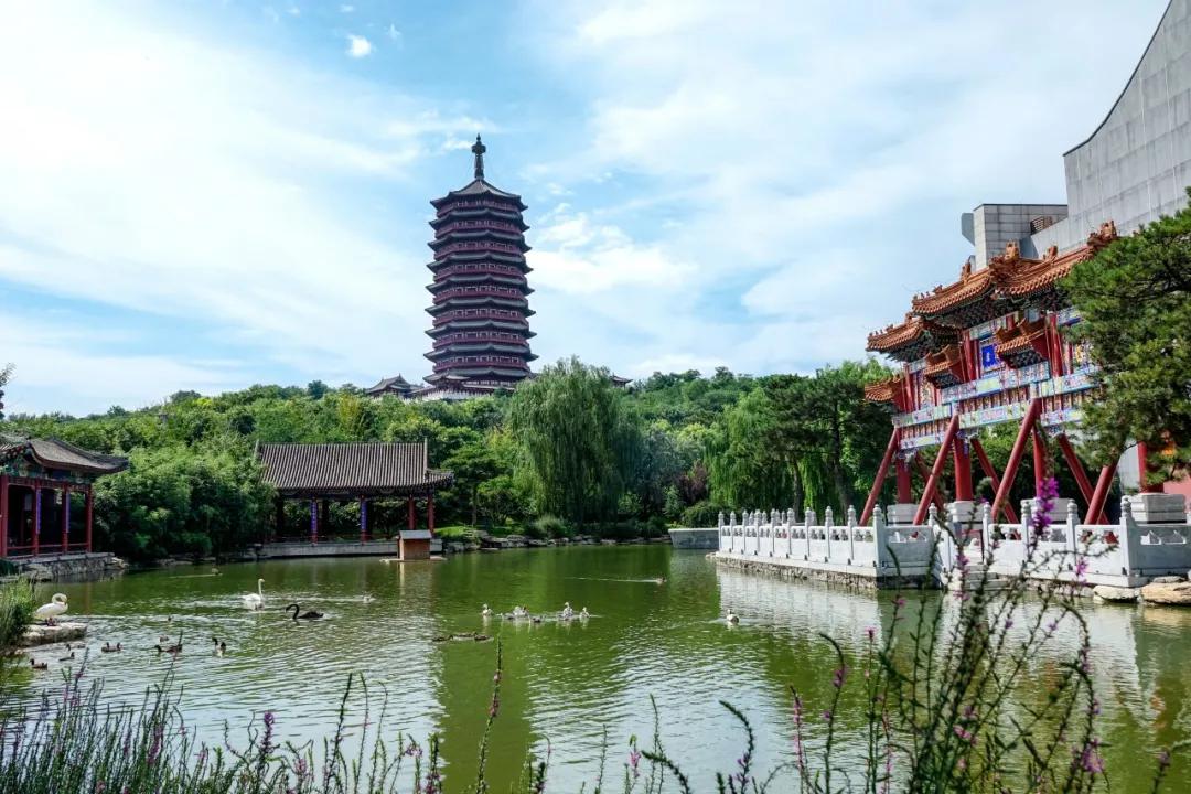 2020丰台文化和旅游消夏季活动正式启动！5条线路，游园、嬉水、赏花、亲子、夜游，全都有！