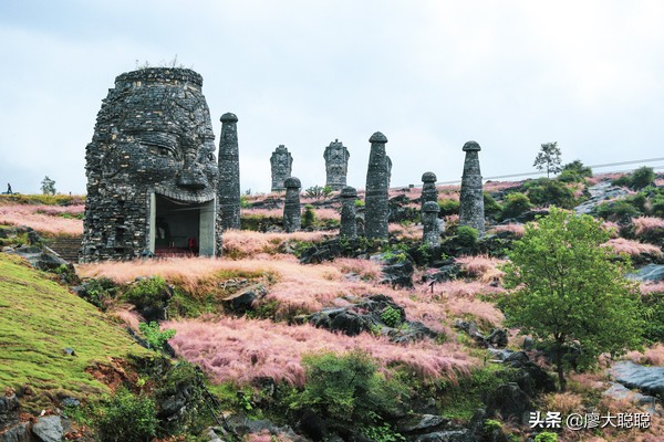 重庆这片花海你还没有来打开，那你就输了