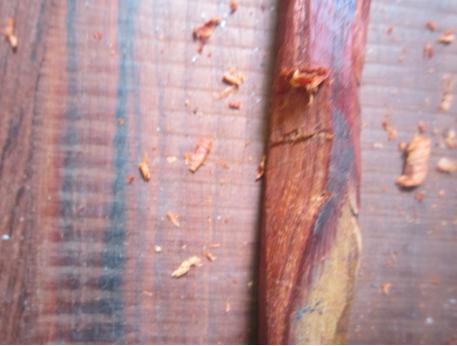 赞比亚小叶紫檀与酸枝,大红酸枝小叶紫檀价值