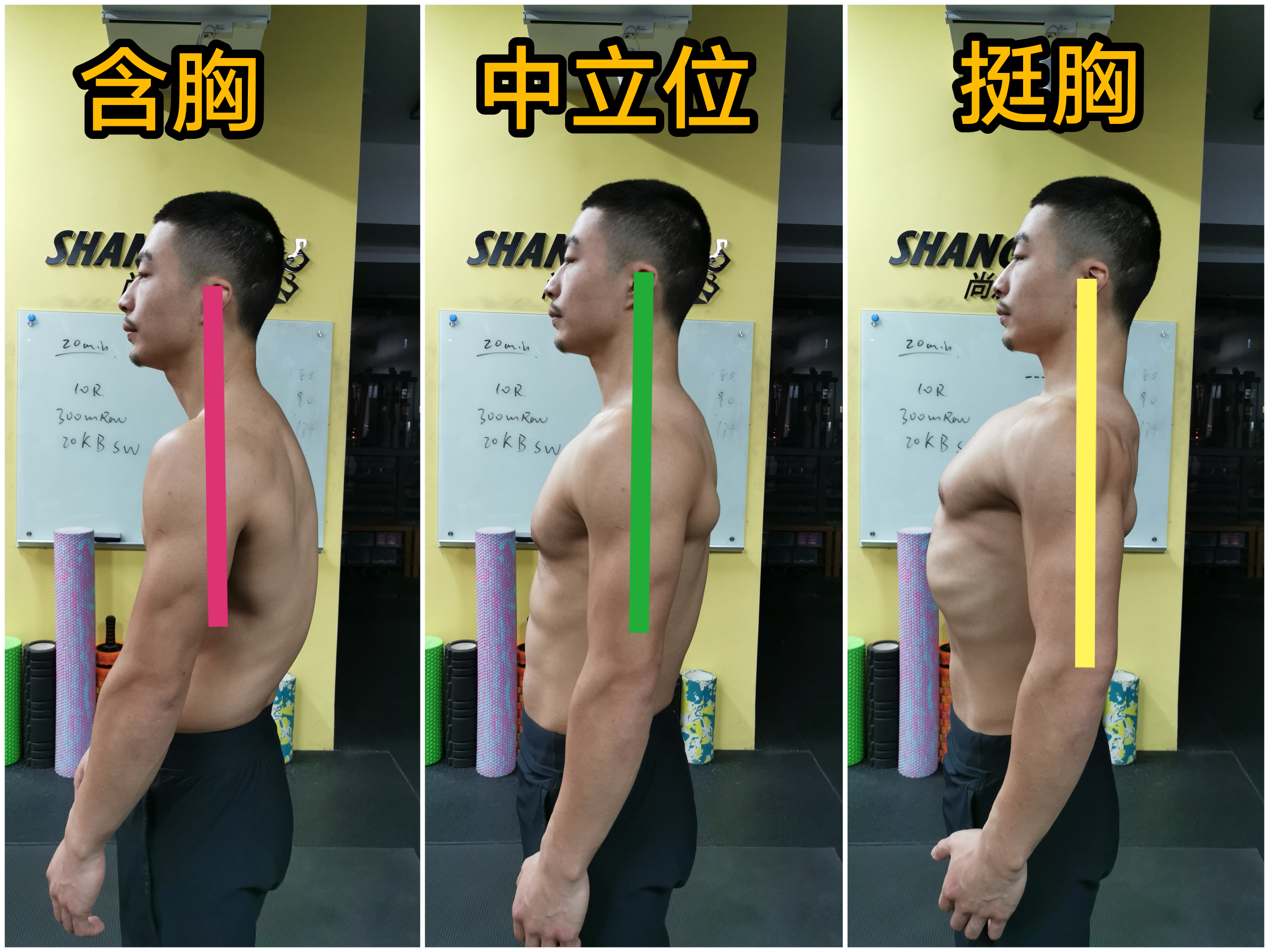 「体态」：手把手教你两步改善圆肩