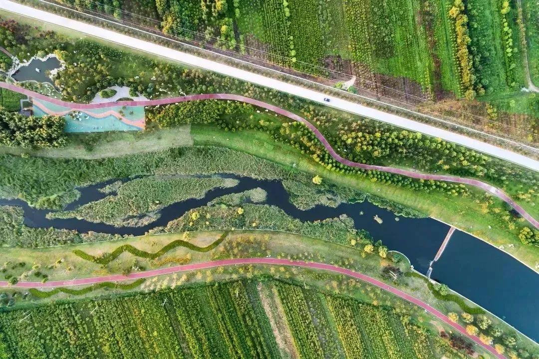 打造中德生态城、西展新高地，羊亭镇奏响“攻坚突破”发展强音