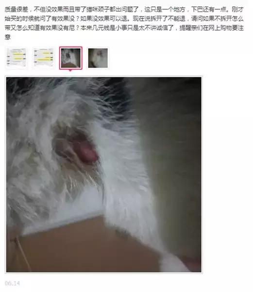 我亲手给猫戴的某款驱虫项圈，差点要了猫的命