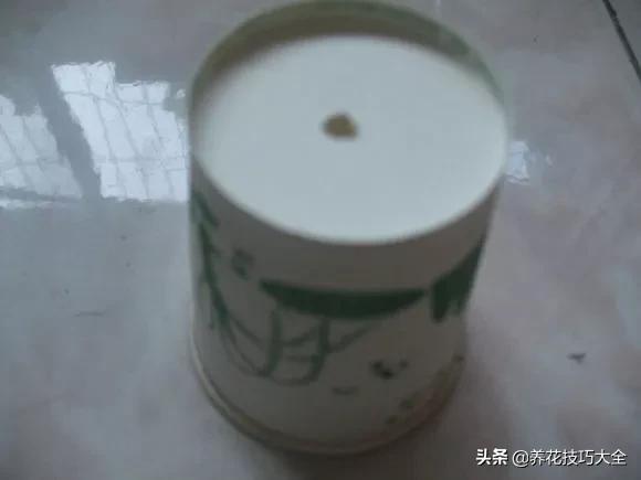 1个塑料瓶，繁殖出10盆栀子花，成活率高，新手也能玩