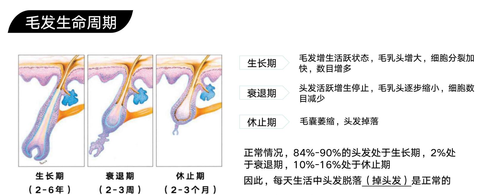 植发不会告诉你的秘密,植发真的有那么可怕吗
