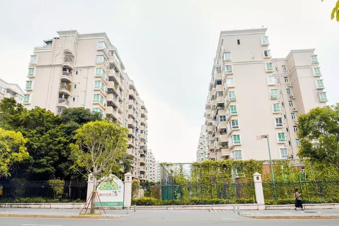 附近莲塘,附近的莲塘