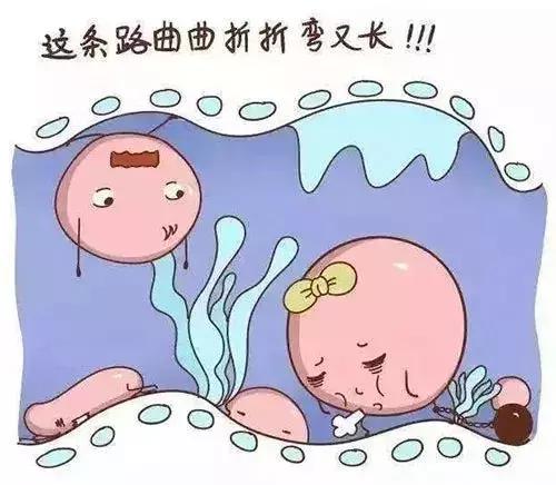 肚子上开一小口，帮您家添一人口！浅谈腹腔镜手术下卵巢功能保护