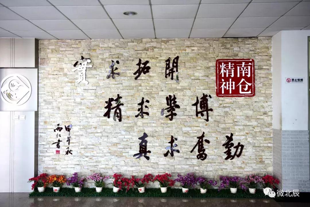 超燃现场燃爆全场校园,校园里的快闪惊艳了时光