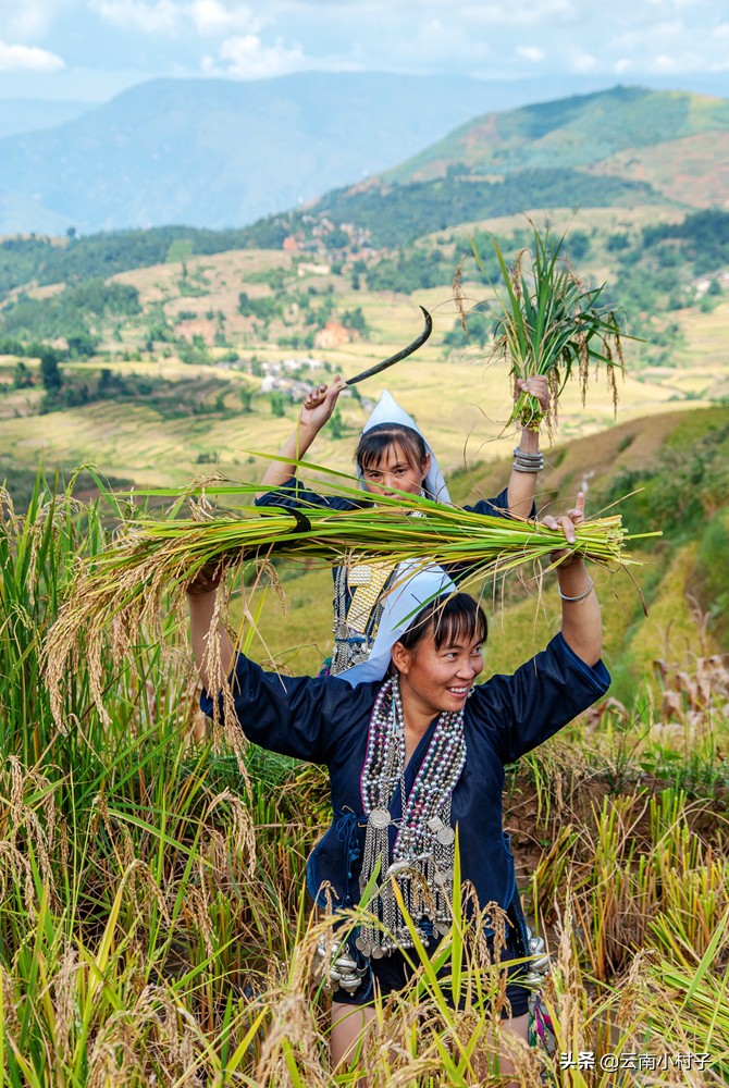 红河州最美哈尼族村寨,红河哈尼族千年梯田
