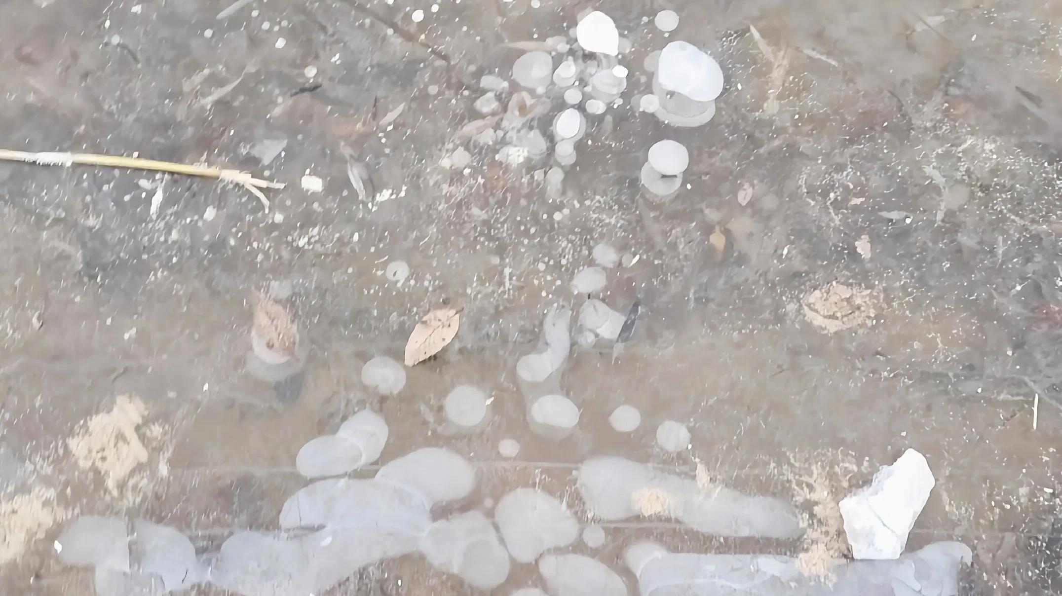 佳木斯松花江跑冰排视频,看哈尔滨松花江冰排最佳位置