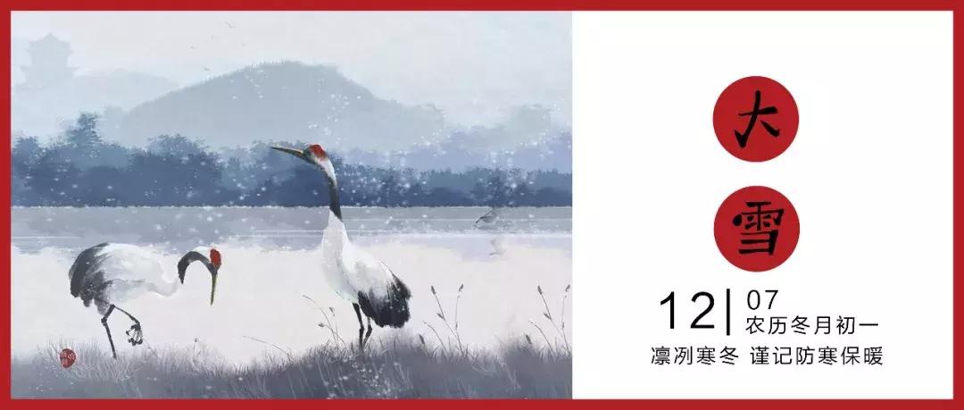 从双十一购物狂欢节看消费者行为,从双11看消费新态势