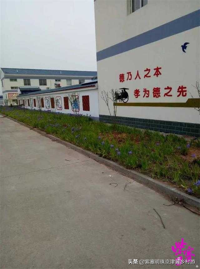 人间六月天，来海岛许一场似水流年——唐山乐亭韩姐农家院