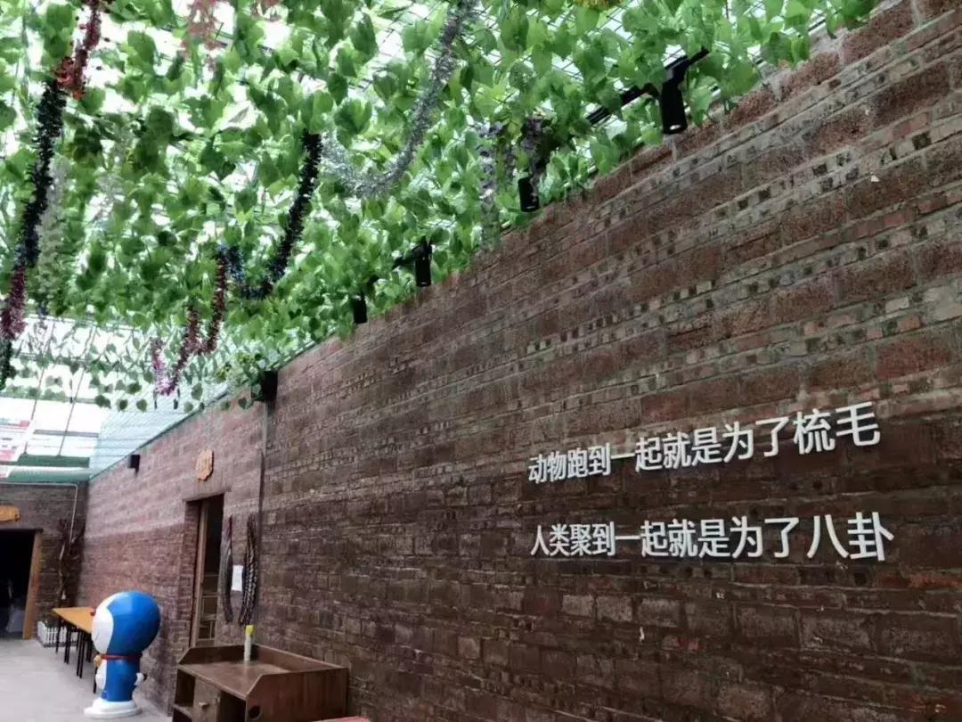 去珠海长隆玩住哪家民宿最划算,珠海长隆水上乐园民宿