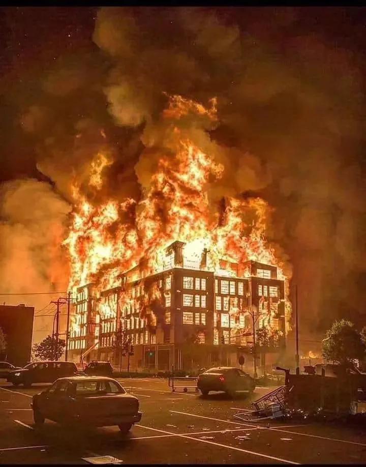 中国留学生趁火打劫奢侈品,留学生趁火打劫奢侈品