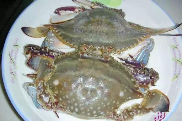 开海什么海鲜最好,开海季肥美海鲜