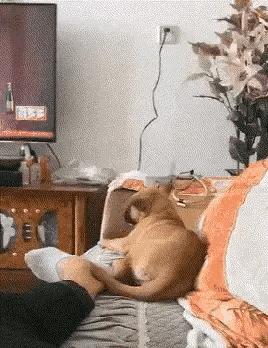 鍝堝搱鍥剧墖鎼炵瑧,鍝堝搱鎼炵瑧鍥剧墖